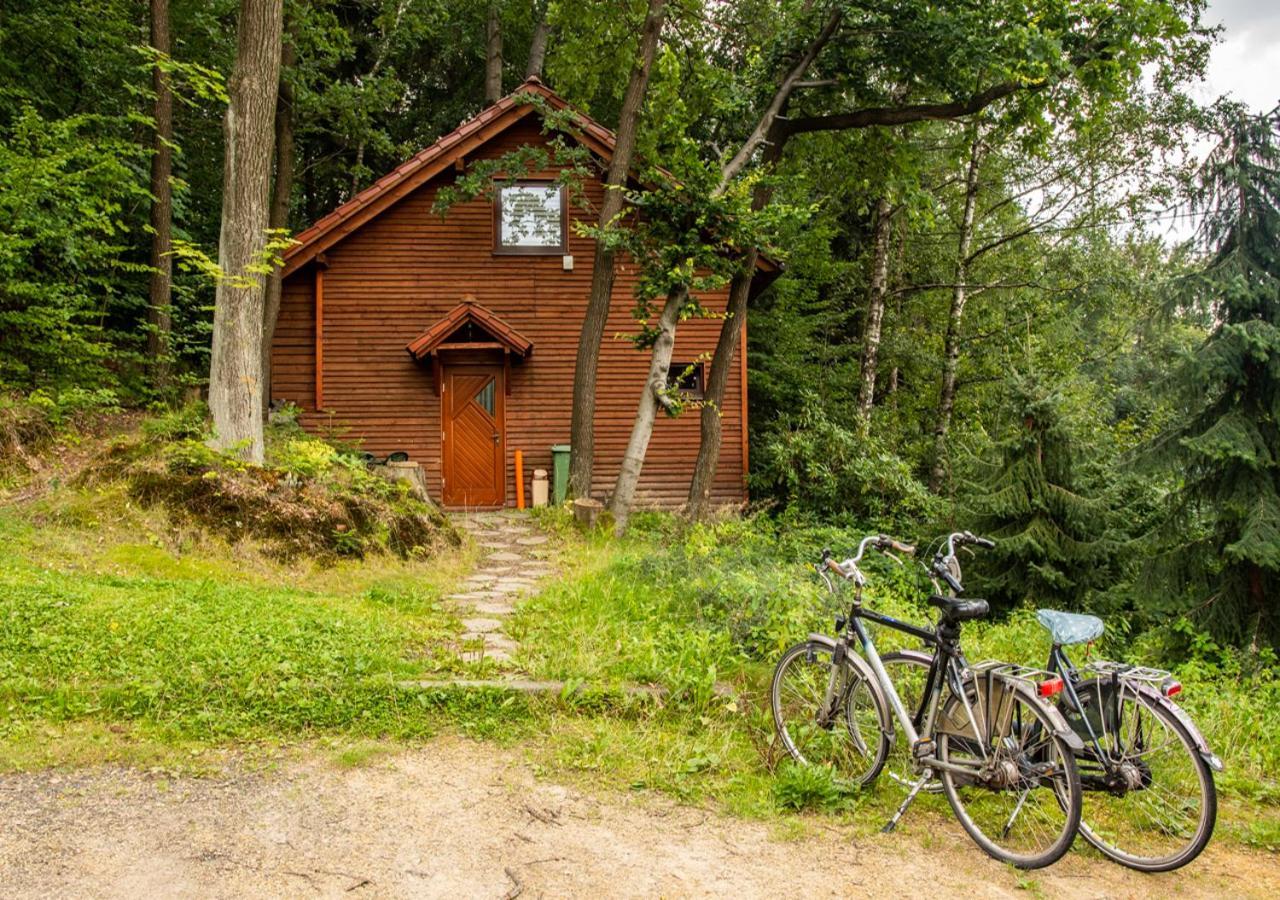 Cezar Naturyzm Bielsko-Biała Buitenkant foto